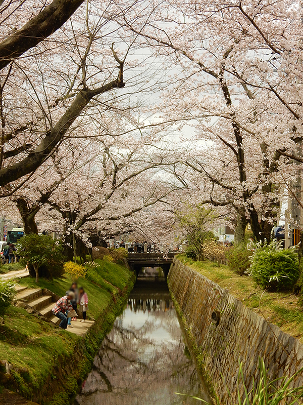 tetsugaku_spring